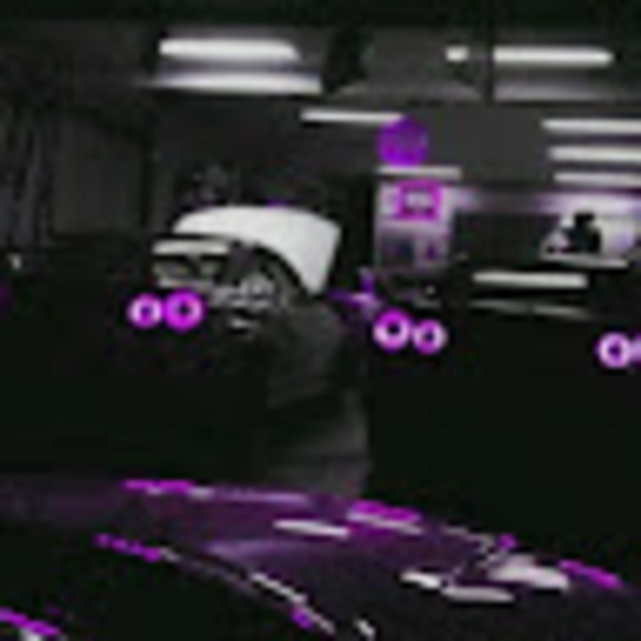 Meet your Posher, Sasha - Picture 1 of 1